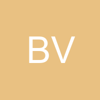 BAGY VICHEZ