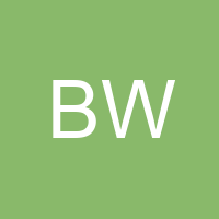 Brain W