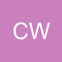 Chi Wan