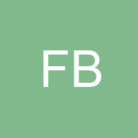 FLORIN BOROS