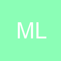Mr L